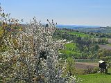 TOV Scharten (44)